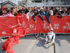 AI+将外行业加快落地